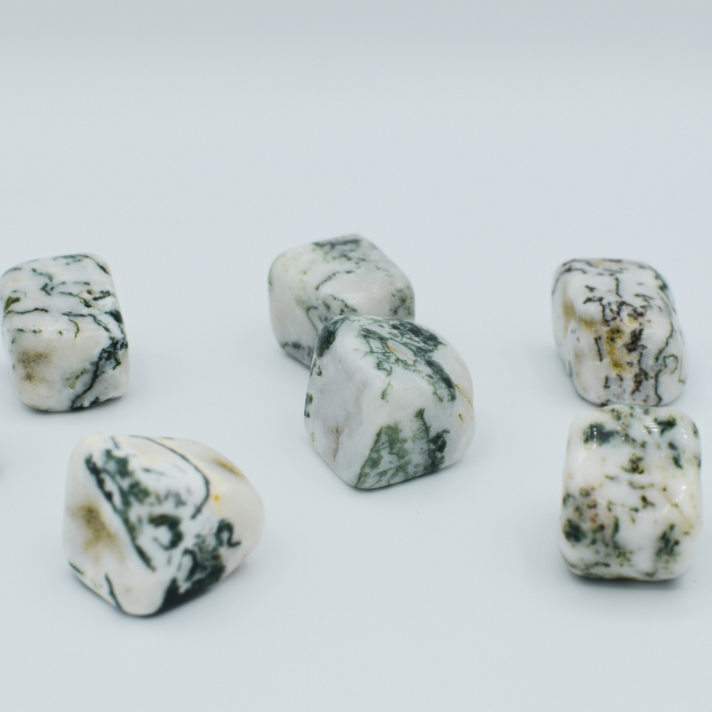 Tumbled Tree Agate