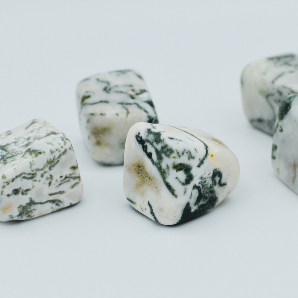 Tumbled Tree Agate