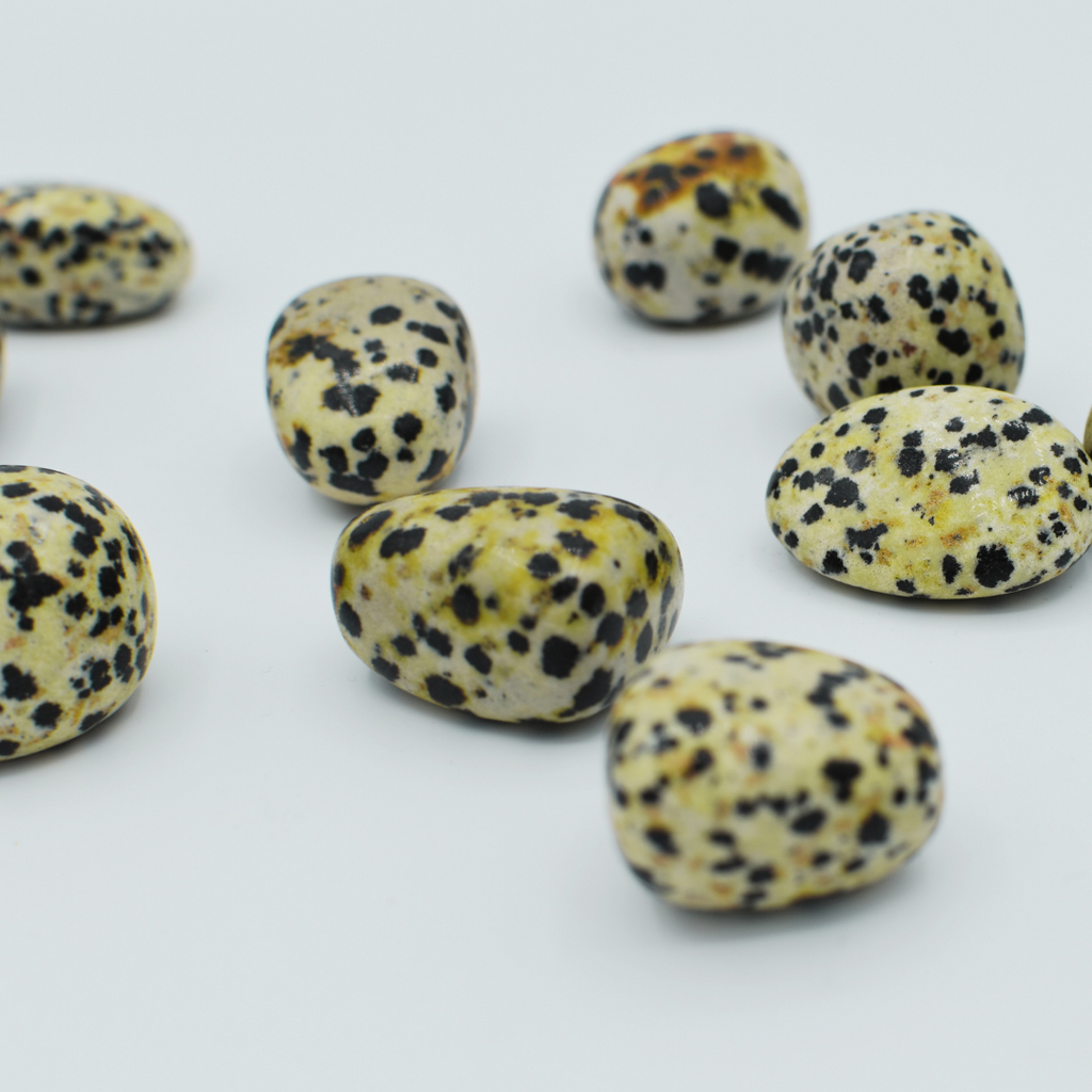 Tumbled Dalmatian Jasper