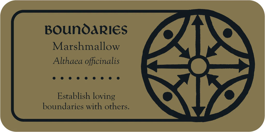 Medieval Herb Sigils Cards