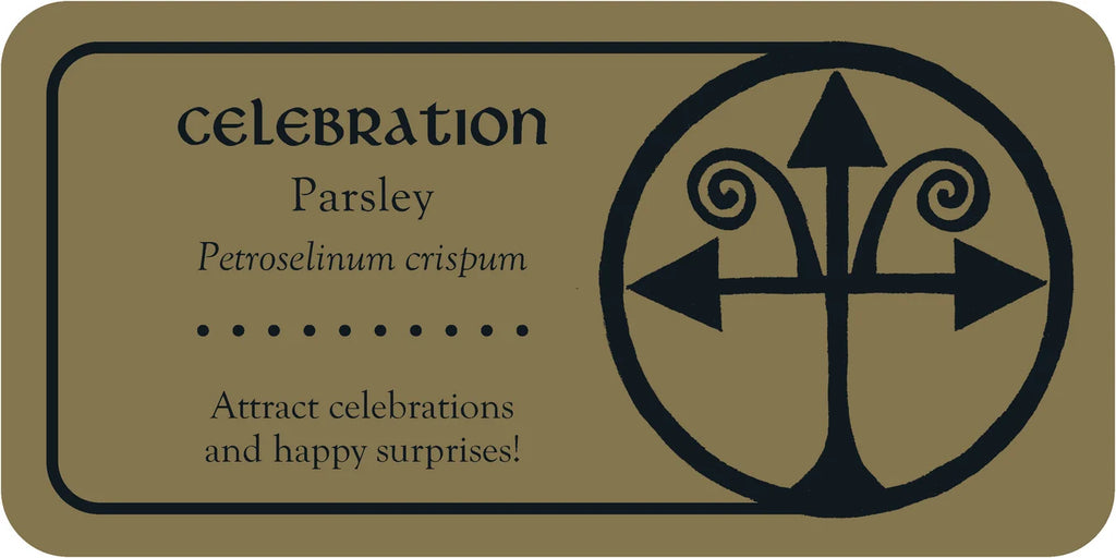 Medieval Herb Sigils Cards