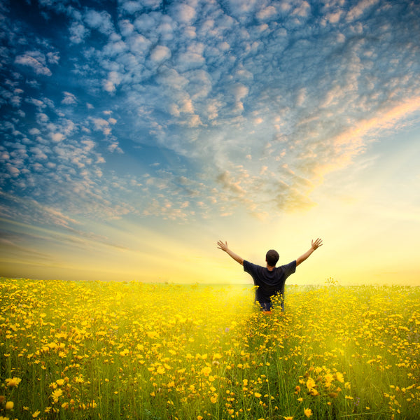 Abundance