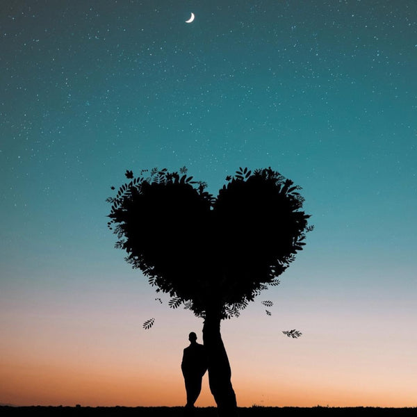 Love & Self Love