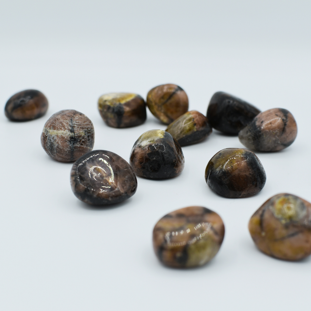 Tumbled Chiastolite