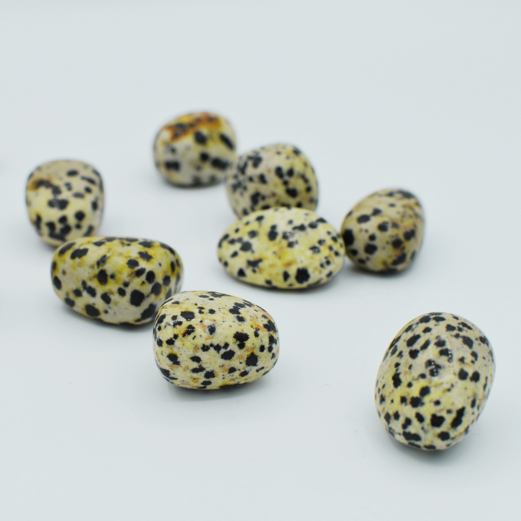 Tumbled Dalmatian Jasper