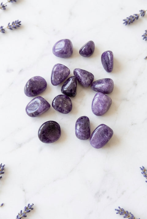 Tumbled Lepidolite Premium Collection