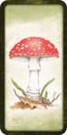 Mushroom Affirmations
