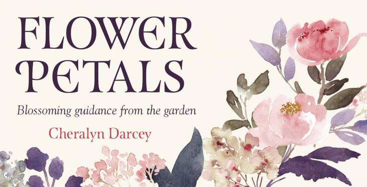 Flower Petals Mini Cards