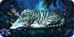 Sleeping Spirits Mini Cards