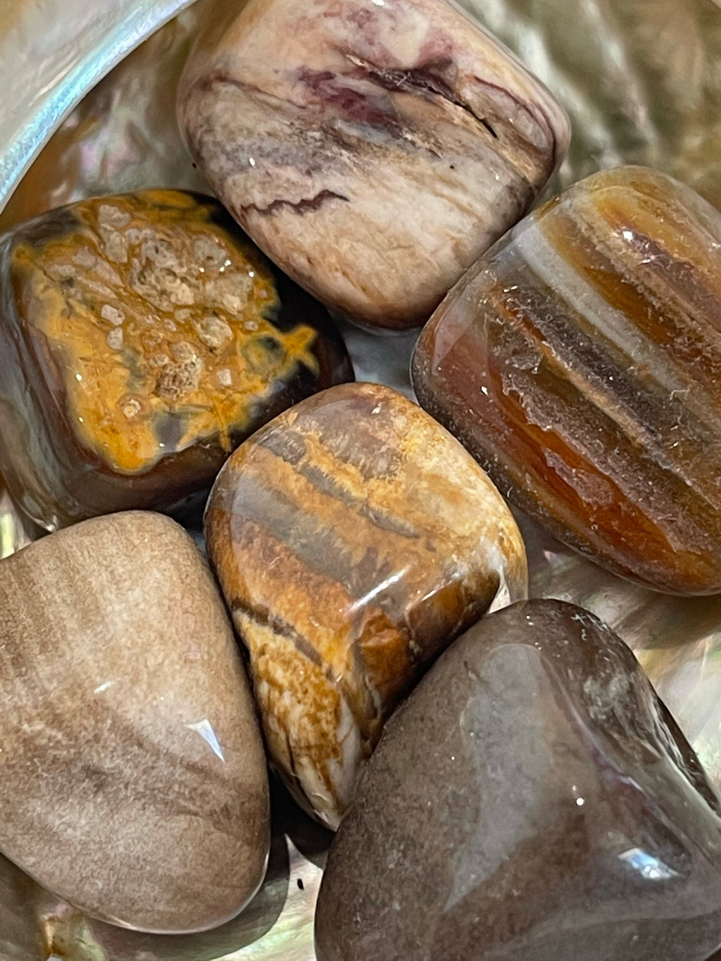 Tumbled Petrified Wood